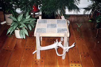 McQuade_Maple 2